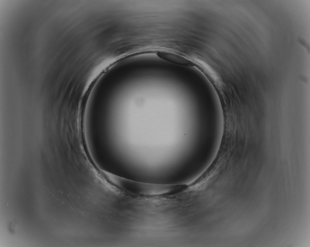 X0000091450910200708231252