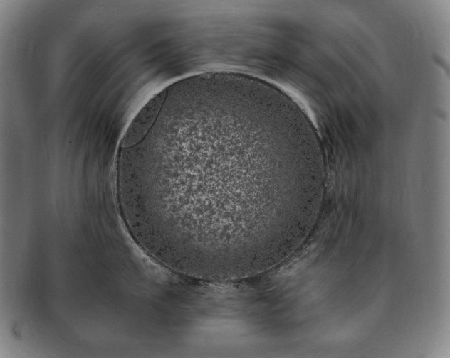 X0000091450911200708231252