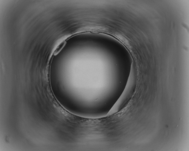 X0000091450912200708231252