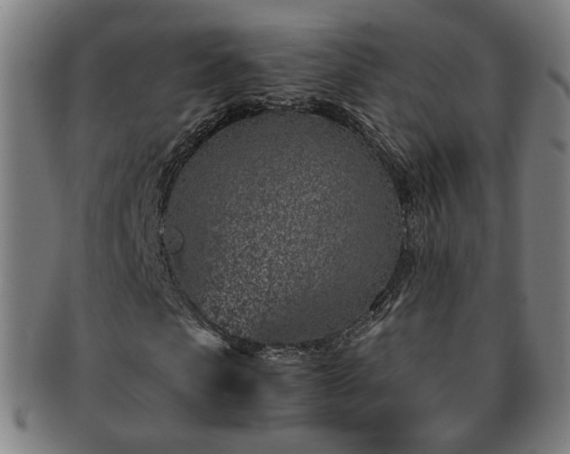 X0000091450913200708231251