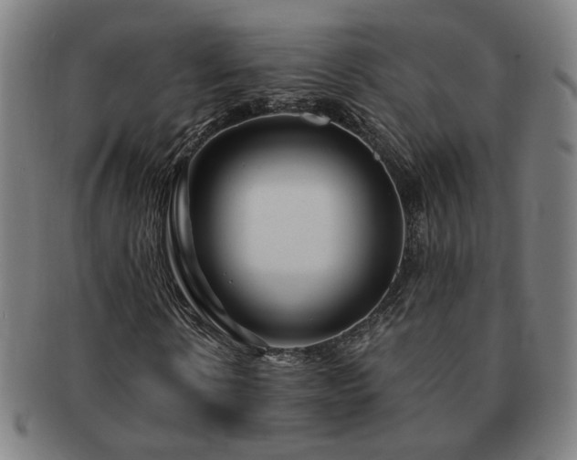 X0000091450914200708231251
