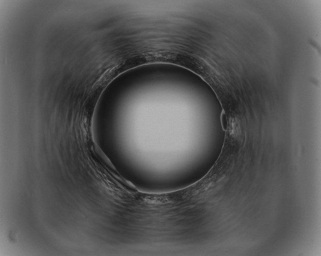 X0000091450915200708231252