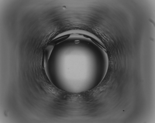 X0000091450916200708231252