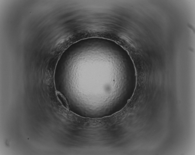 X0000091450917200708231252