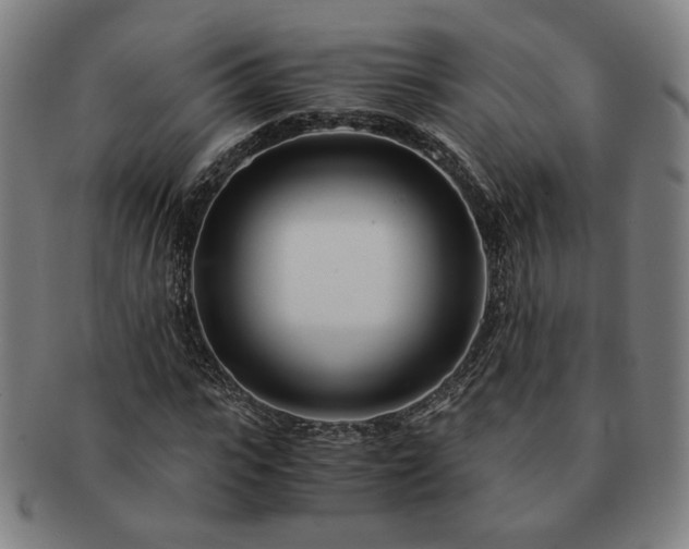 X0000091450919200708231252