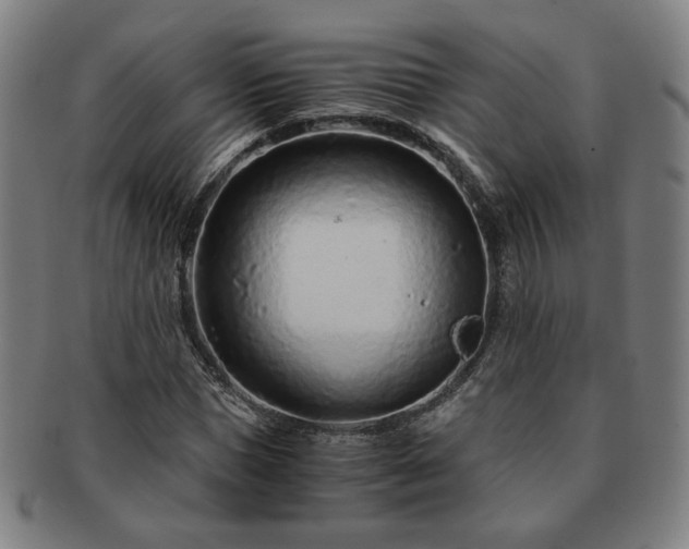 X0000091450921200708231252
