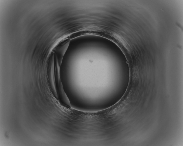 X0000091450923200708231252