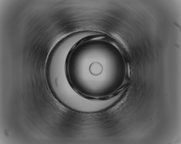X0000091450924200708231252