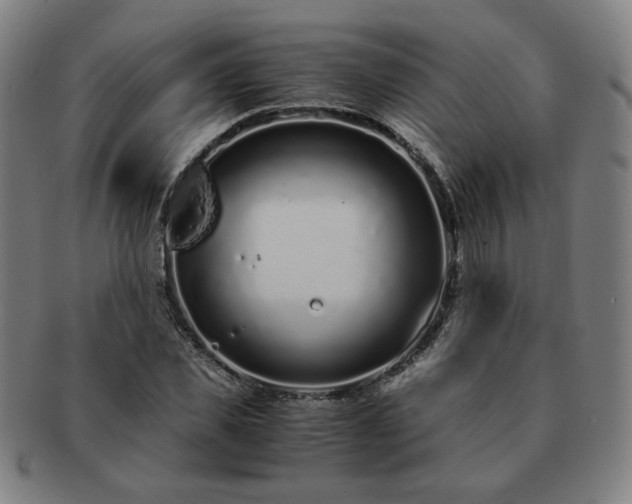 X0000091450925200708231252