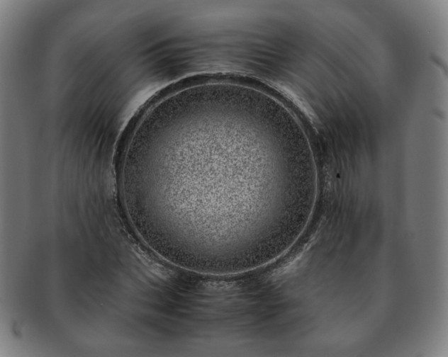 X0000091450927200708231252