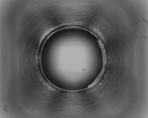 X0000091450928200708231252