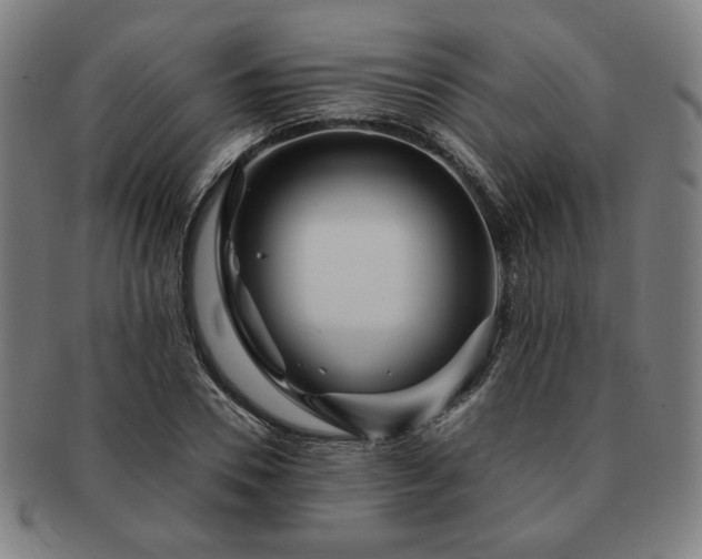 X0000091450930200708231252