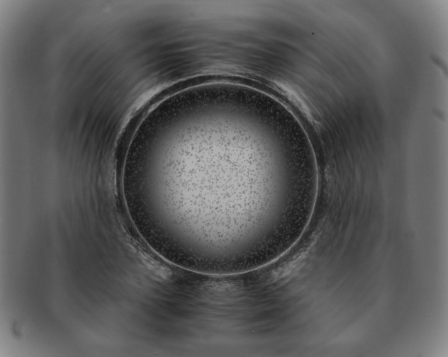 X0000091450931200708231252