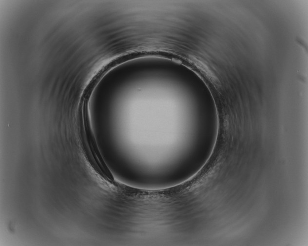 X0000091450934200708231252