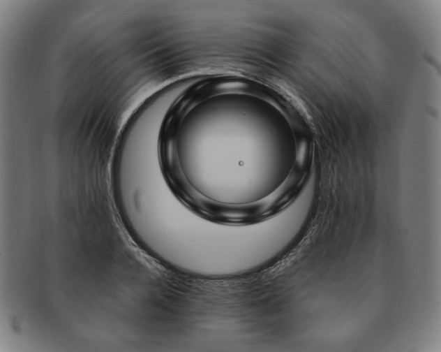X0000091450936200708231252
