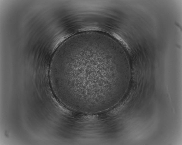 X0000091450937200708231252