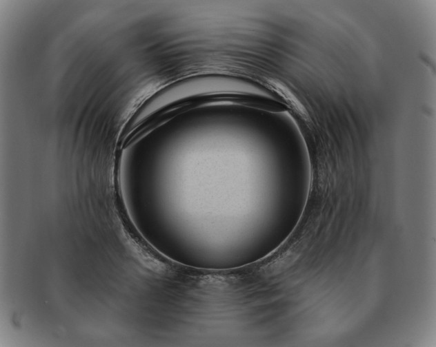 X0000091450938200708231252