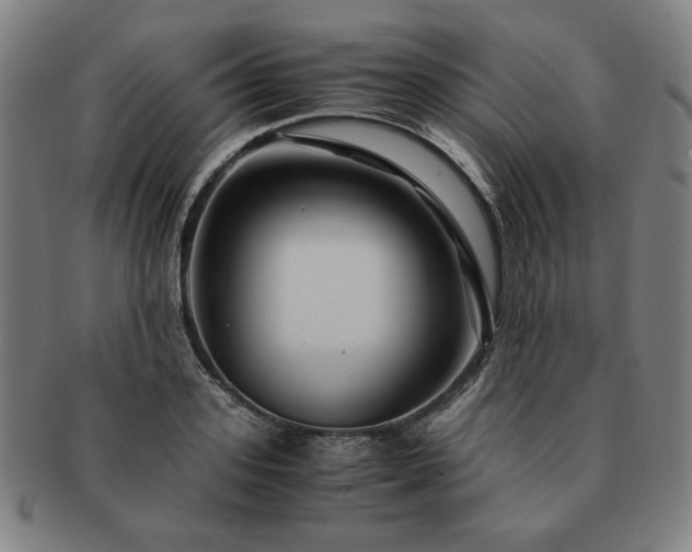 X0000091450939200708231252