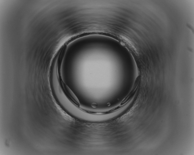 X0000091450942200708231252