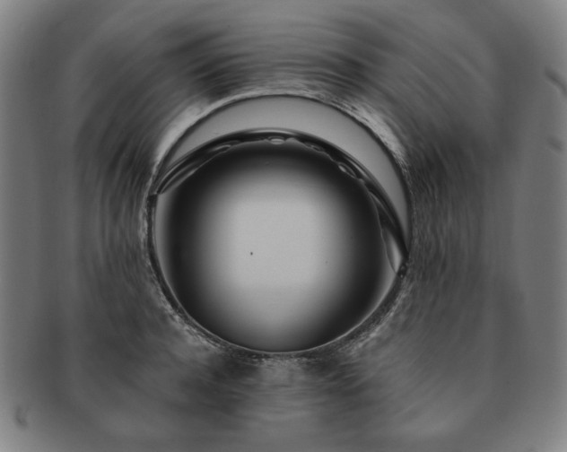 X0000091450944200708231252
