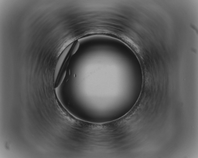 X0000091450945200708231252