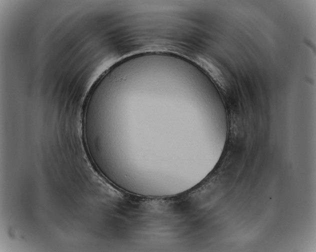 X0000091450950200708231252