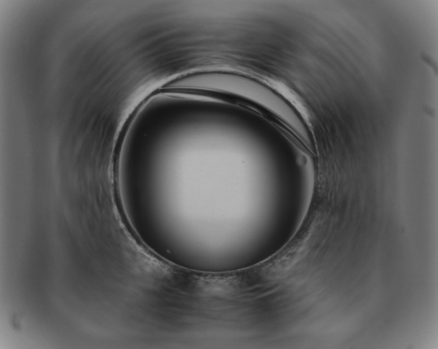 X0000091450951200708231252