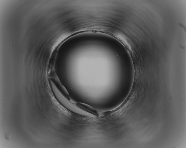 X0000091450952200708231252