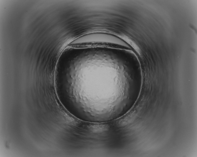 X0000091450953200708231252