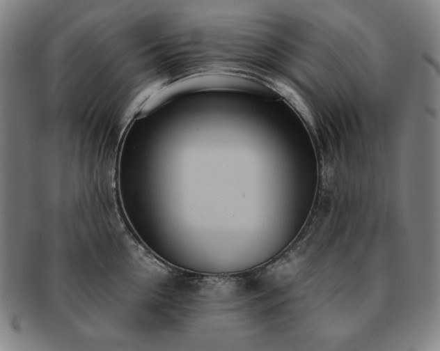 X0000091450954200708231252