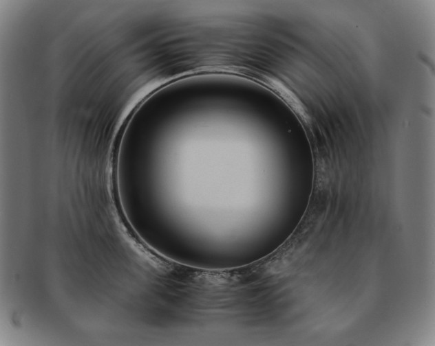 X0000091450955200708231252