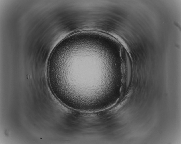 X0000091450957200708231252