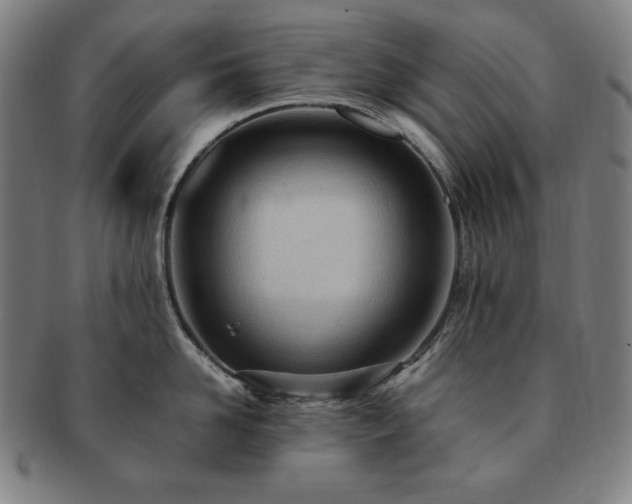 X0000091450958200708231252