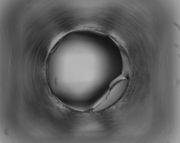 X0000091450960200708231252