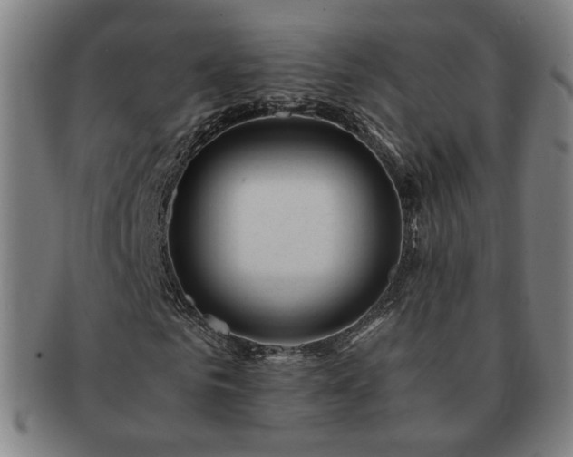 X0000091450961200708231251