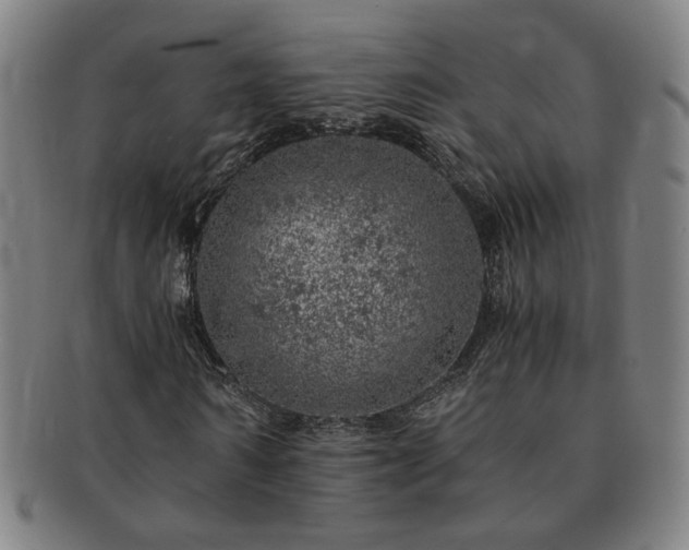 X0000091450962200708231251
