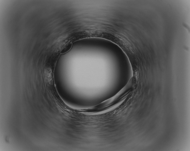 X0000091450963200708231251