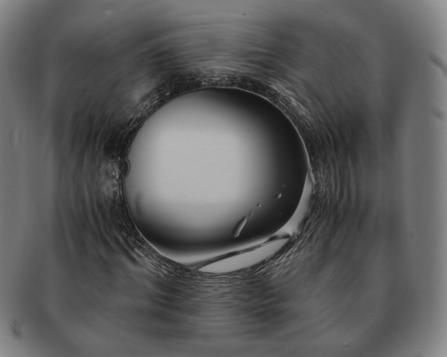 X0000091450964200708231251