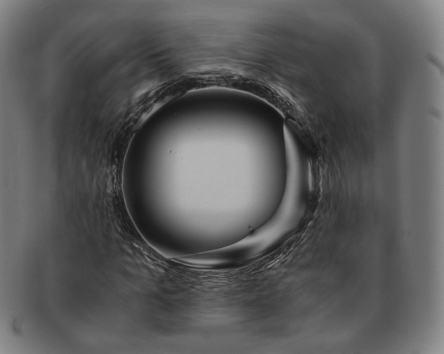 X0000091450965200708231251