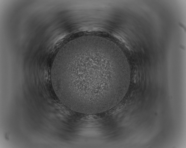 X0000091450966200708231251