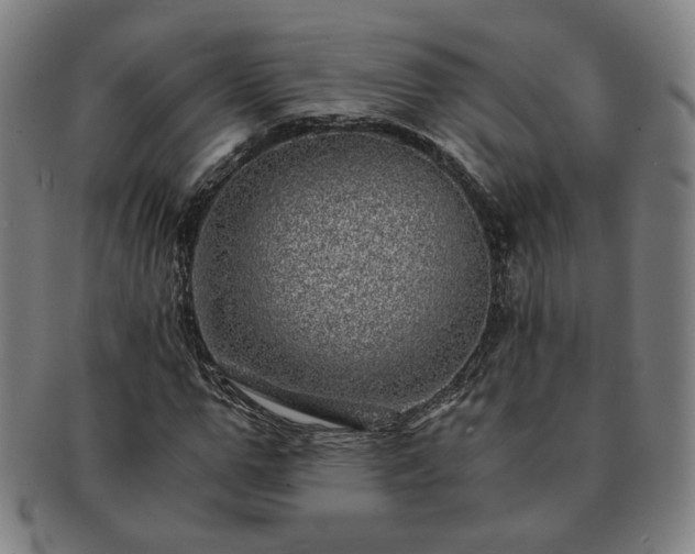 X0000091450967200708231251