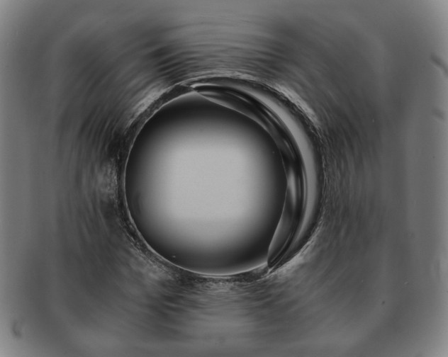 X0000091450969200708231251