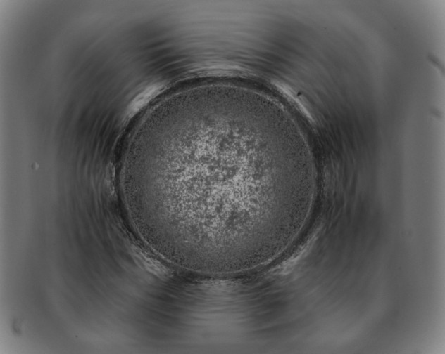 X0000091450970200708231251