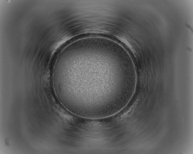 X0000091450971200708231251