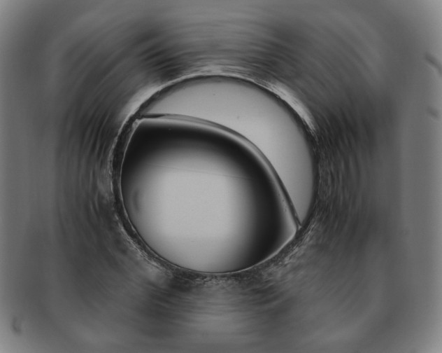X0000091450972200708231251