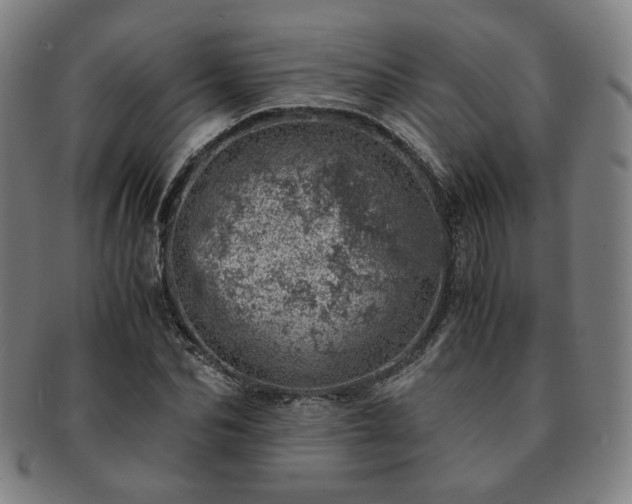 X0000091450974200708231251