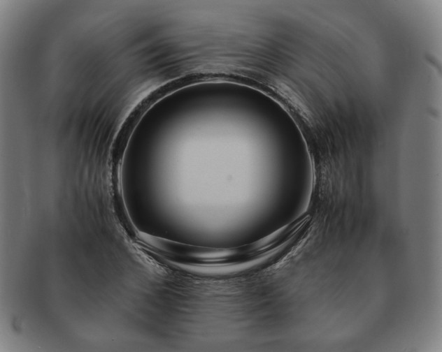 X0000091450976200708231251