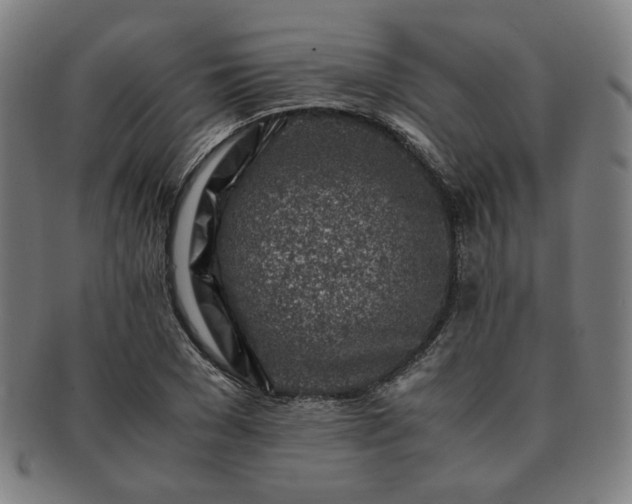 X0000091450977200708231251