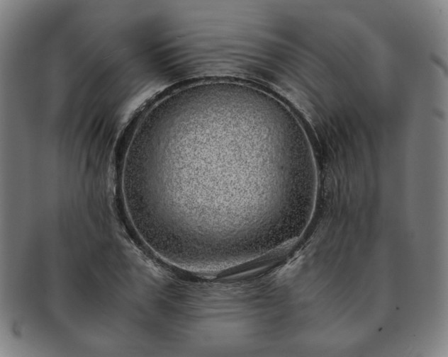 X0000091450979200708231251