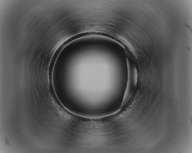 X0000091450980200708231251